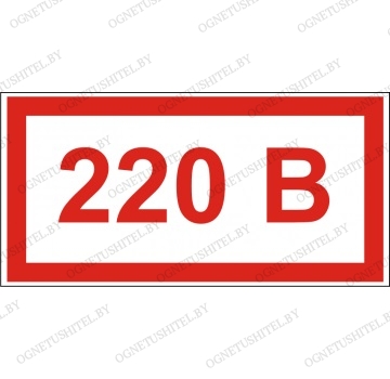 Знак 220В